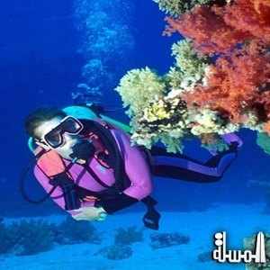 Thomas Cook : 30 September Travel back to the Egyptian Red Sea