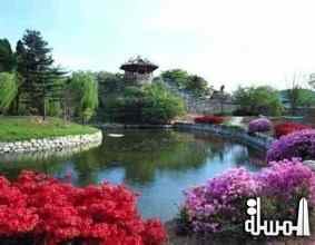 السياحة العلاجية فى كوريا الجنوبية تسجل 187 مليون دولار