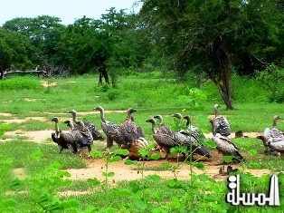 سياحة السودان و خريطة رقمية للمشروعات الاستثمارية والسياحية للعام الجديد