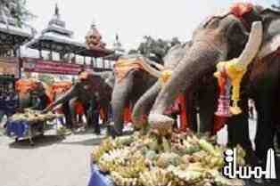 سياحة تايلندية بصحبة 140 فيــلاً