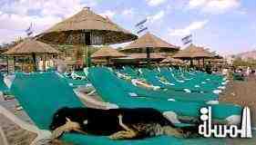 500 مليون دولار خسائر السياحة فى اسرائيل بسبب العدوان على غزة