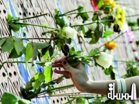 سياح «تسونامي» الناجون يحيون الذكرى العاشرة للكارثة