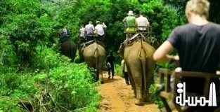 تايلند تسجل 6.6 % تراجعاً فى أعداد السياح العام الماضى