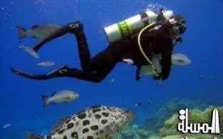 أحمد جبر : السياحة ترعى مبادرة تسجيل أعمق غطسة في موسوعة جينيس