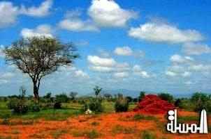 25 % تراجع السياحة الوافدة إلى كينيا خلال الشهور الخمسة الأولى