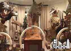 Qatar Airways enforces absolute ban on transportation of all hunting trophies