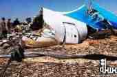 Referral of the report from Russian investigative authorities in the plane crash to the Egyptian public prosecutor
