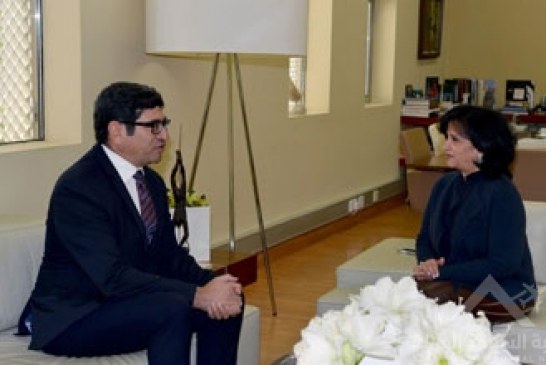 الشيخة مي تبحث مع السفير الأرجنتيني التعاون الثقافي