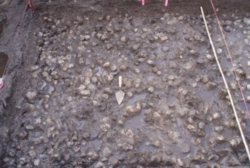 اكتشاف حقل بطاطس يعود إلى 3800 سنة في كندا