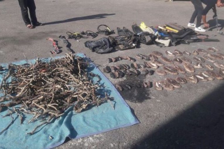 تمكنت محميات البحر الأحمر بقطاع حماية الطبيعة بوزارة البيئه من ضبط كمية من شعاب اليسر المرجانية ،وذلك بالتعاون مع القوات البحرية ،وقوات حرس الحدود