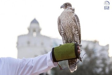 سياحة أبوظبى ترحب بانضمام 5 دول جديدة إلى ملف الصقارة الدولي في اليونسكو