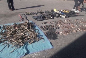 البيئة: ضبط مركب مخالف عليه شعاب اليسر النادرة