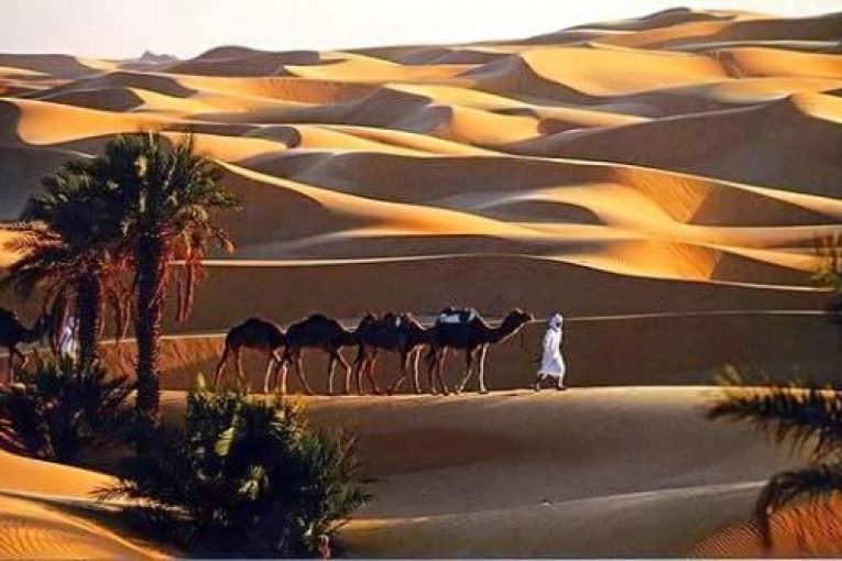 بحضور وزير سياحة الجزائر والتهيئة العمرانية والصناعة التقليدية عبد الوهاب نوري, مشاركت عدة بلدان منها تونس والمغرب والأردن والإمارات العربية المتحدة وأندونيسيا