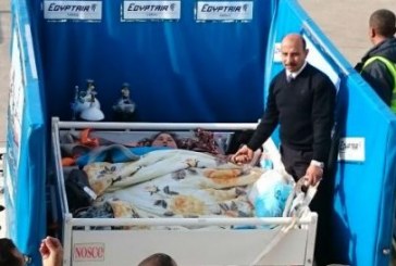 مصر للطيران للشحن الجوى تنجح فى نقل حالة مرضية يصل وزنها 500 كجم للعلاج بالهند