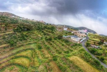 5 موارد استثنائية تقود