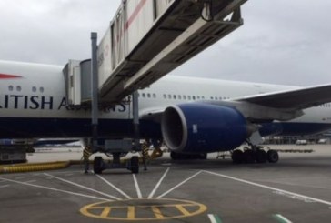 فأر يتسبب فى إلغاء رحلة للخطوط الجوية البريطانية بمطار هيثرو