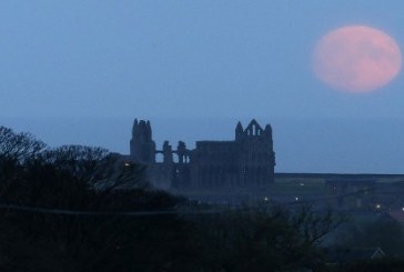 بالصور..اكتشاف مدينة رومانية للأثرياء عمرها 2000 عام في بريطانيا