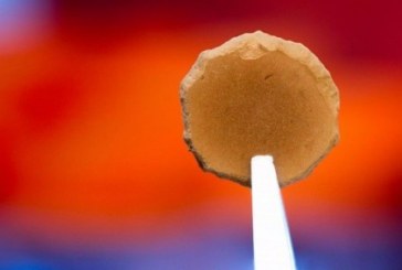 الكشف عن طريقة جديدة لصناعة الطوب على سطح المريخ