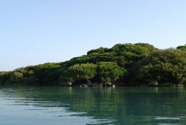 الحديدة اليمنية .. السلام والوجع