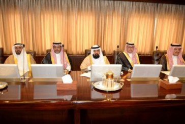 نائب أمير عسير يناقش مع مجلس التنمية السياحية بالمنطقة سبل تعزيز قطاع السياحة