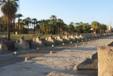 وزير الاثار: استئناف العمل بطريق الكباش بالأقصر بتكلفة هندسية 250 مليون جنيه