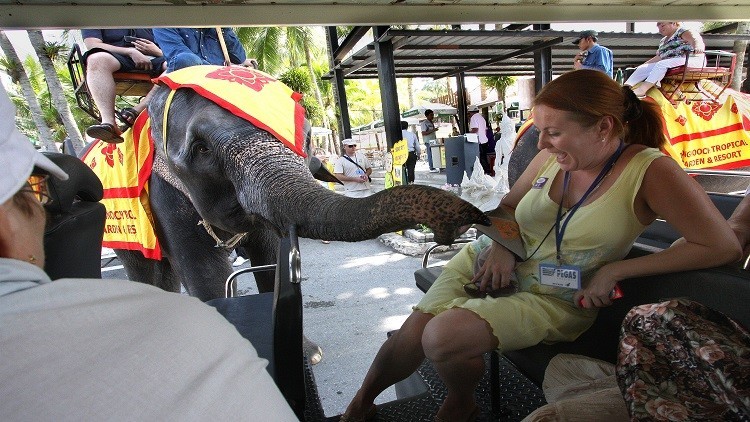 زيادة أعداد السياح الروس الى تايلاند بشكل غير مسبوق