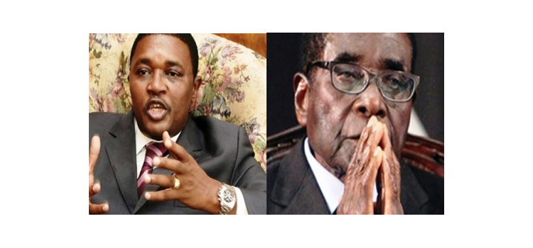 Zimbabwe faces change at next elections as Opposition Groups see victory in sight