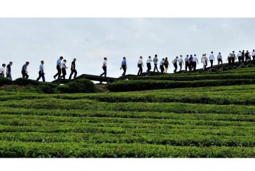 مصرع واصابة 5 سياح إثر انهيار صخري بوسط الصين