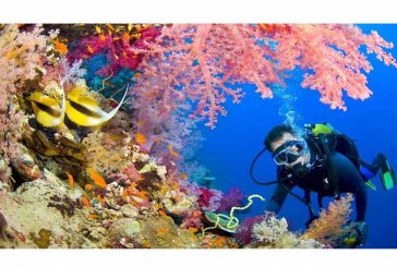 أجمل مناطق البحر الأحمر تتعافي سياحيا بقلم:جلال دويدار