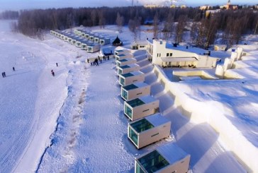 Animal Wonderland in the SnowCastle of Kemi