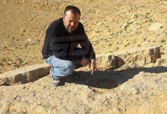 العثور على أقدم آثار لديناصورات تعود لـ150 مليون سنة فى تونس