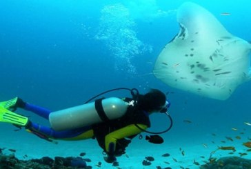 غرفة سياحة الغوص تحذر أعضائها من عدم الإلتزام بفحص وإختبار صلاحية إسطوانات الغوص بمحطات معتمدة