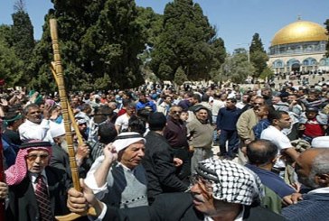 الأزهر والشيخ الطيب ينضم للاصوات المطالبة بأنتفاضة جديدة للقدس