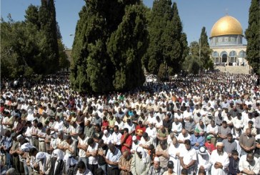 بالصور النادرة خبير آثار يؤكد: كل التنقيبات الإسرائيلية  فشلت فى إثبات وجود أى أثر يهودى بفلسطين
