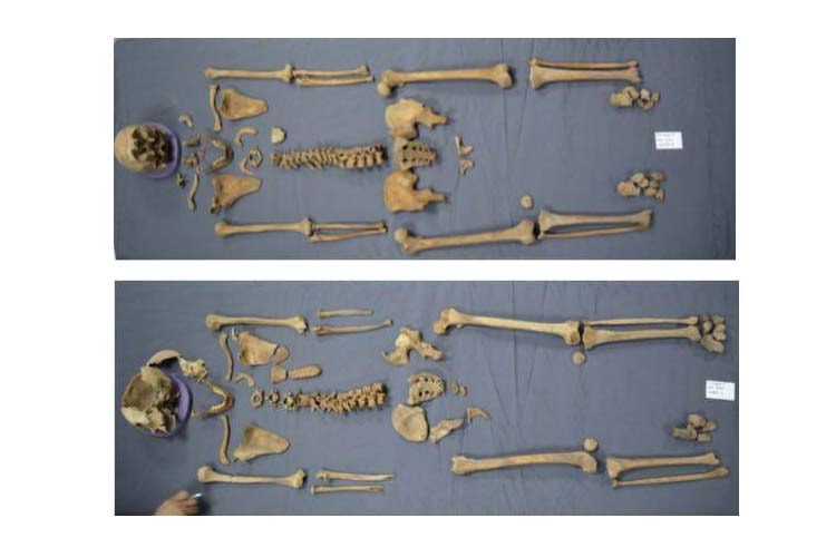 الكشف عن نتائج الدراسات العلمية الاثرية علي الهياكل العظمية بالتابوت المكتشف في منطقة سيدي جابر