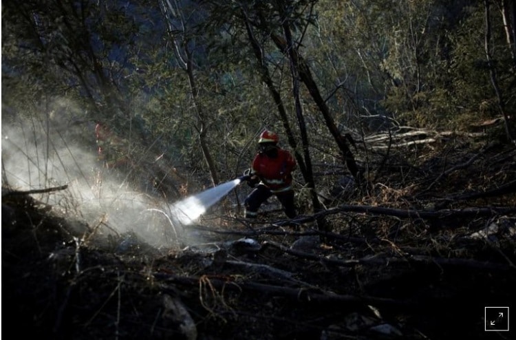 البرتغال تخمد حريقا هائلا بمنطقة الغرب السياحية
