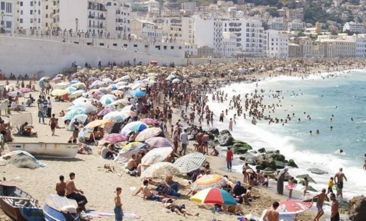 600 قضية استعمال غير شرعي للشواطيء بالجزائر خلال موسط الاصطياف