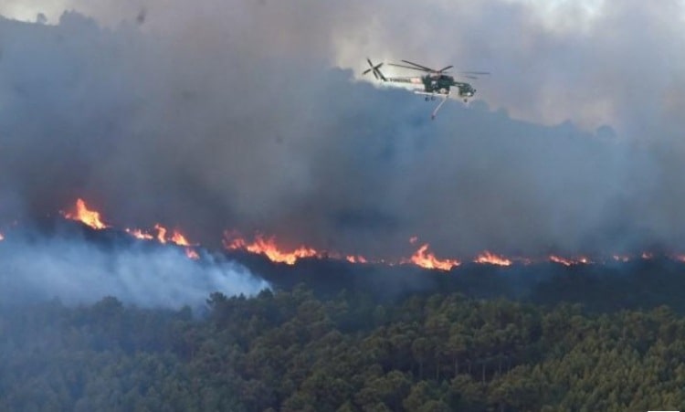 إجلاء المئات وإغلاق مطار بسبب حريق غابات في إيطاليا
