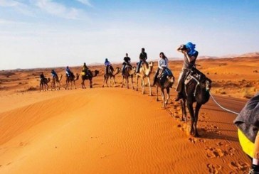 جوهرة الساورة تاغيت تستعد لإستقبال السياح خلال موسم السياحة الصحراوية ببشار