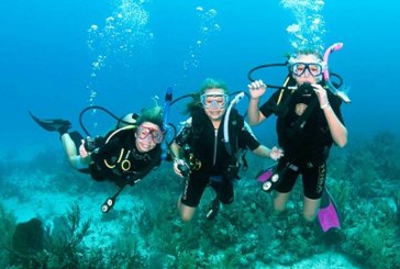 تعاون مشترك بين وزارة السياحة وغرفة الغوص لرفع كفاءة العاملين