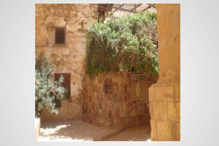 خبير آثار يكشف أسرار قداسة الوادى المقدس طوى وبركته