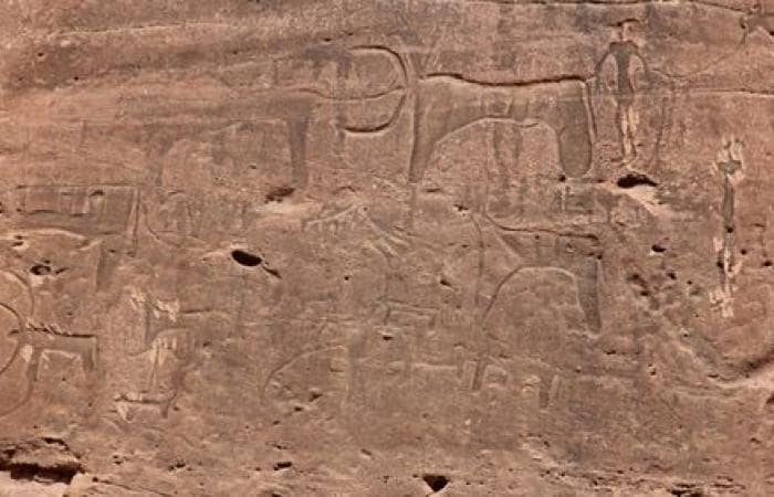 اكتشاف نقوش صخرية أثرية تعود إلى 835 عاما في الصين