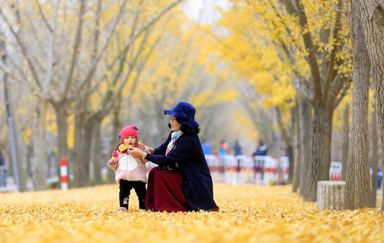 سياحة الصين تحتضن منتدى مدن لانتسانغ-ميكونغ السياحية