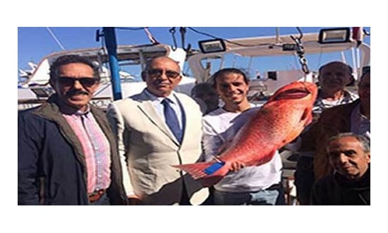 وزير الشباب والرياضة المصرى يوافق على تنظيم