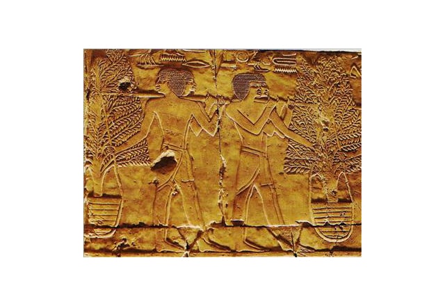 خبير الآثار الدكتور عبد الرحيم ريحان يطالب بإحياء العلاقات الحضارية مع العمق الأفريقى