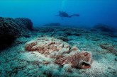 سواحل “صمانداغ” شرقي المتوسط.. قبلة جديدة لعشاق الغوص