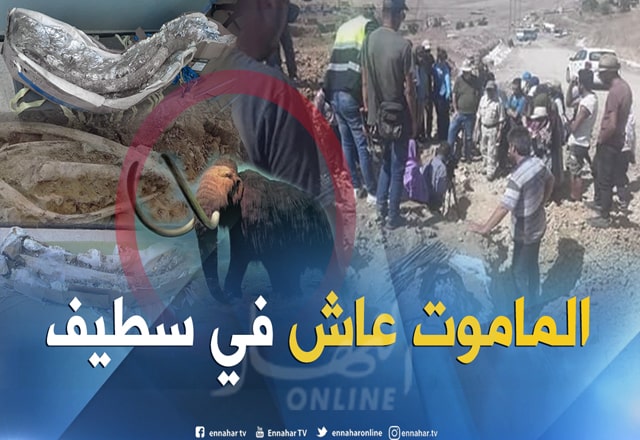 اكتشاف الإنسان البدائى الأول نياندرتال بالجزائر