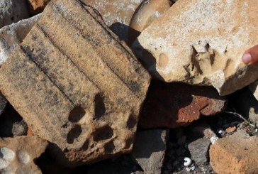 العثور على آثار حيوانات تعود للقرن الثامن الميلادي بتركيا