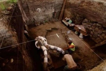 اكتشاف آثار أقدام الماموث يعود تاريخها إلى 1.6 مليون سنة في شمالي الصين