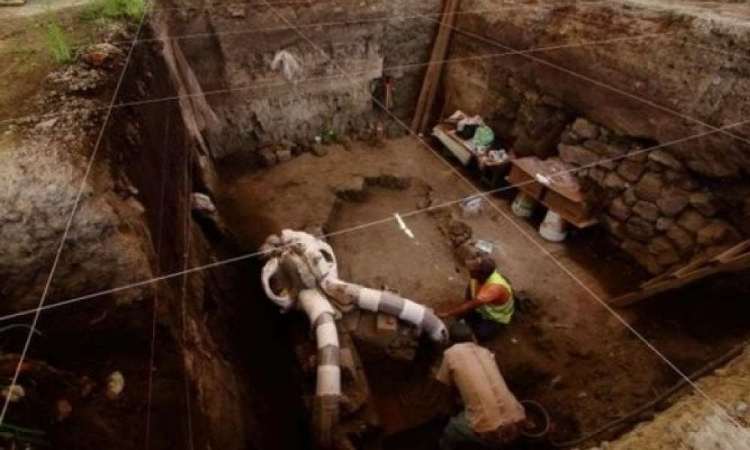 اكتشاف آثار أقدام الماموث يعود تاريخها إلى 1.6 مليون سنة في شمالي الصين